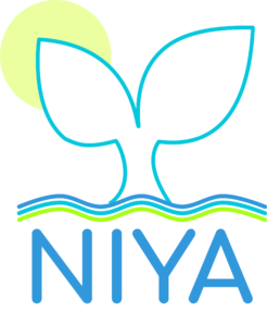 Logo -Niya